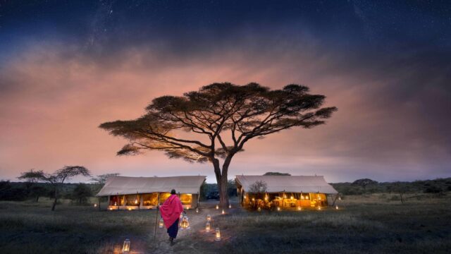 Serengeti-Under-Canvas-starry-nights